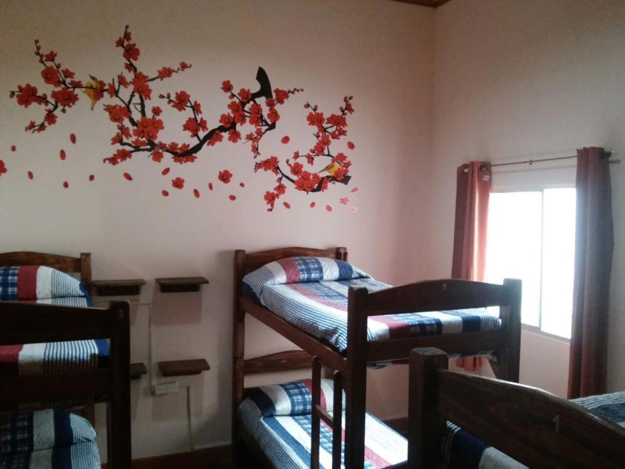 Posada Del Gaucho Hostel Montevideo Kültér fotó